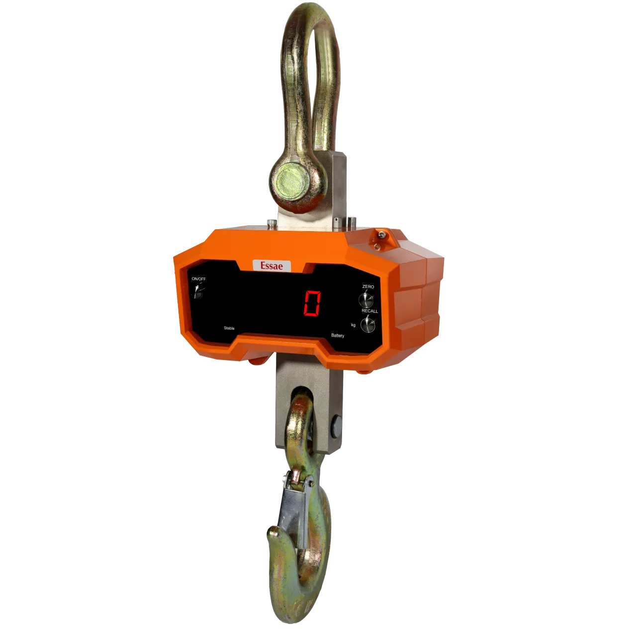 DS-350 Wireless Crane Scale